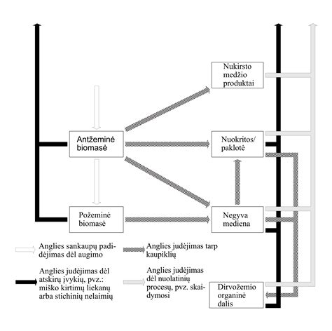 Anglies nuosėdų problematika variklyje schema