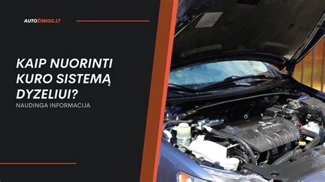 Infografika: Pagrindiniai dyzelinio variklio užvedimo sistemos mazgai (akumuliatorius, starteris, kuro sistema, kaitinimo žvakės)