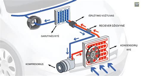 Schematinis brėžinys, vaizduojantis pagrindinius „Skoda“ variklio komponentus, susijusius su užvedimo problemomis