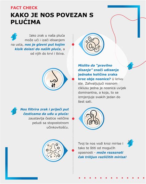infografika su 9 dažniausiais sugedusių purkštukų simptomais