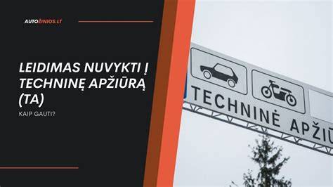 Infografika: kaip veikia elektroniškas leidimas nuvykti į apžiūrą