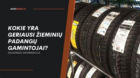 infografika: padangų tvarkymo atsakingumo schema (gamintojai, importuotojai, pardavėjai, gyventojai)