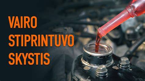 Infografika: kaip veikia vairo stiprintuvo sistema