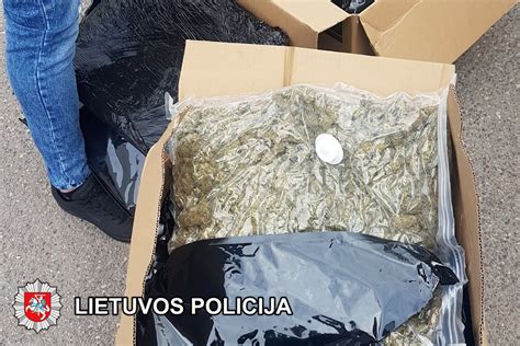Policijos automobilio apžiūra ir narkotinių medžiagų paieška