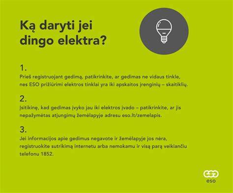 Infografinė schema: kaip veikia saugikliai, ką tikrinti dingus elektra