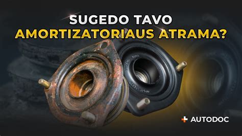 amortizatoriaus nusidėvėjimo požymiai ir techninė patikra