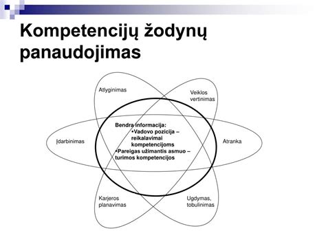 Infografika: vairuotojo ekspeditoriaus kompetencijų modelis