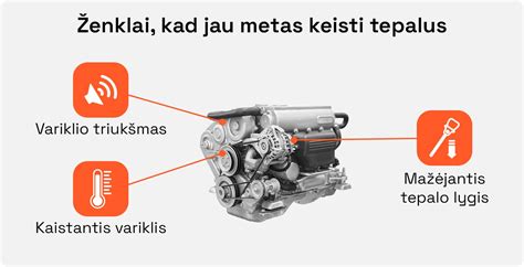 infografika: pagrindiniai komponentai, kuriuos reikia keisti: diržas, vandens pompa, įtempėjai, riebokšliai