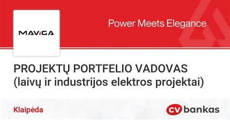 Ford Pro vizualinė schema: portfelio derinimas tarp tradicinės gamybos, paslaugų ir inovacijų