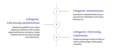CO2 paveikslas - įmonės CO2 pėdsako rodikliai ir Įmonės klasės vertinimas