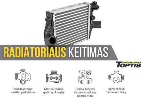 Autoserviso technikas tikrinantis automobilio aušinimo sistemą