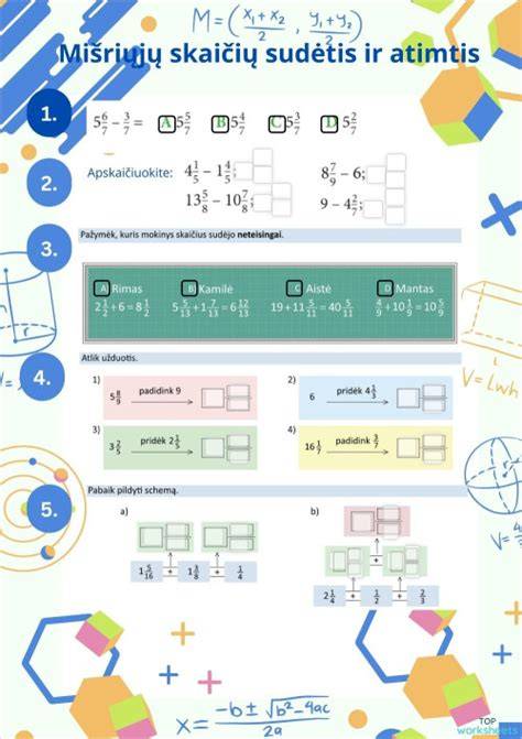 Infografinė schema: alyvų tipų sudėtis ir atitikmenys