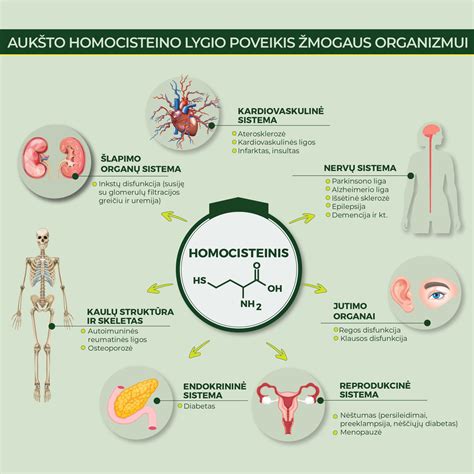 Dirvos purenimo ir išlyginimo kontekstas (infografika apie purenimo efektyvumą)