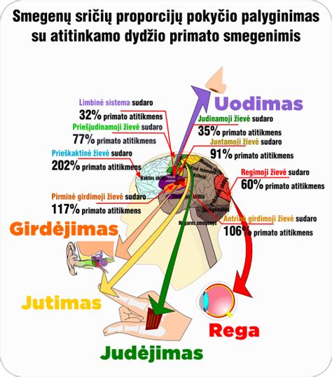 Specifinių sriegio dydžių palyginimas ir antgalio tipų schema