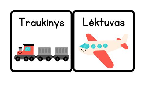 Transporto priemonės draudimo tipų infografika