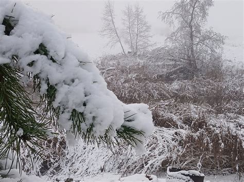 Sniego danga ir „Debica Frigo 2“ protektoriaus raštas