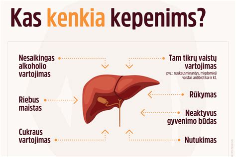 Kepenų suriebėjimo progresijos schema