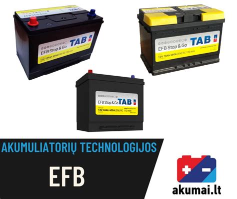diagrama, iliustruojanti rūgštinių, AGM ir EFB akumuliatorių sandarą