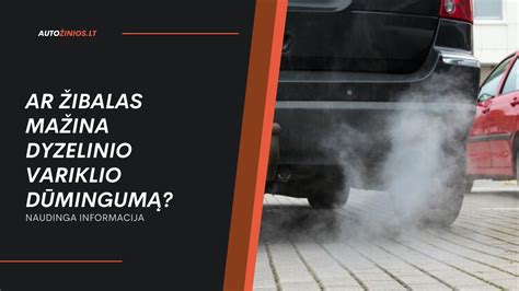 Dyzelinio variklio ir benzininio variklio palyginimas infografika