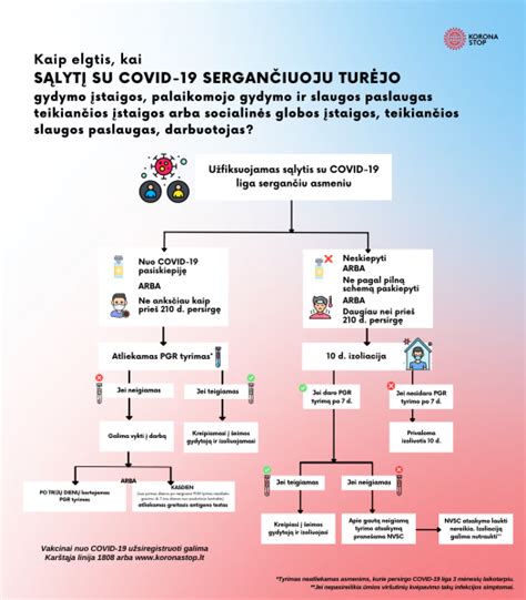 Prevencijos ir gydymo kelių vizualinė schema