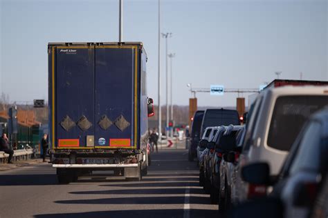 Naminis gyvūnas keliaujantis automobiliu per Baltarusijos sieną