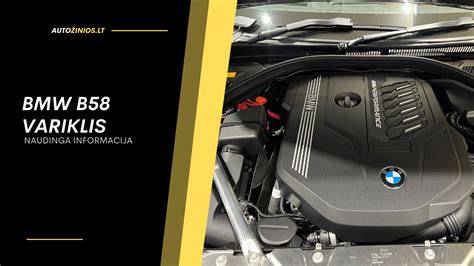 Infografika: BMW variklių klasifikacija ir istorija