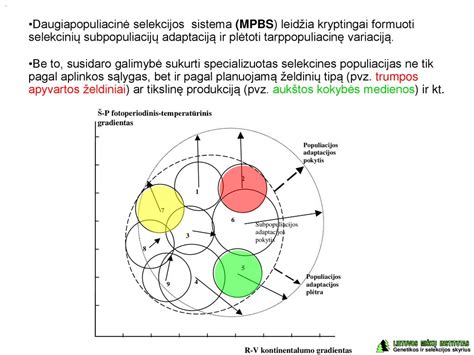 Medžiagų ir gamybos proceso kokybės diagramos (pvz., ekologiškos žaliavos, aukštos kokybės spausdinimas)