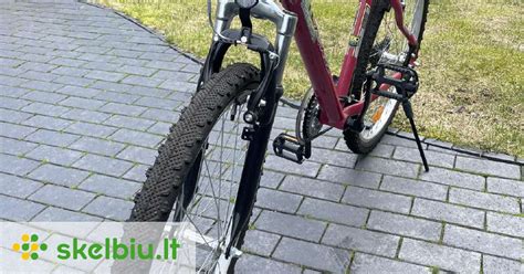 Infografika, iliustruojanti skirtingus elektrinių dviračių tipus: miesto, turistinis, kalnų, sulankstomas
