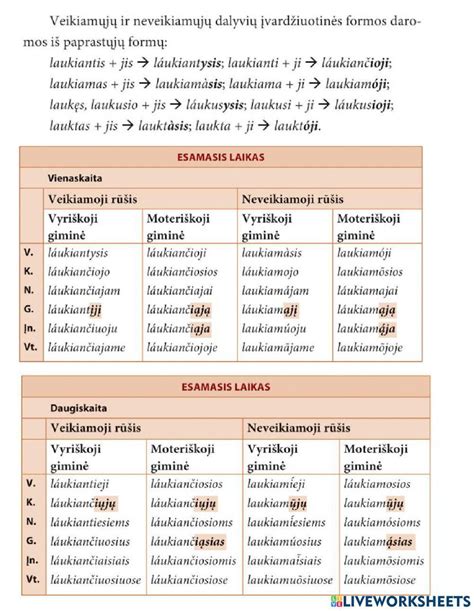 Infografika - vilkikų avarijų tipų pasiskirstymas ir paveikti eismo dalyviai