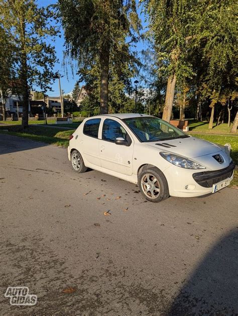 Peugeot 206 hečbekas miesto gatvėje
