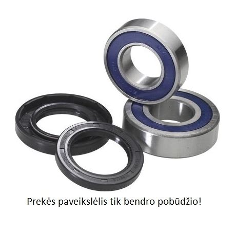 Motociklo rato guolių sandara