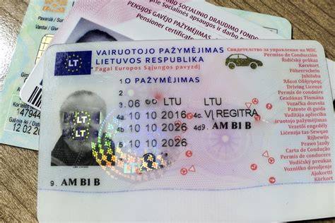 Schemos: ką reikia patikrinti per vairuotojo pažymėjimo patikros procedūrą