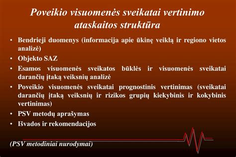 Paveikslėlis: Vertinimo ataskaitos struktūra