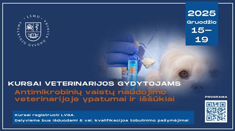 Infografika: Senamiesčio gatvių ypatumai ir vairavimo iššūkiai