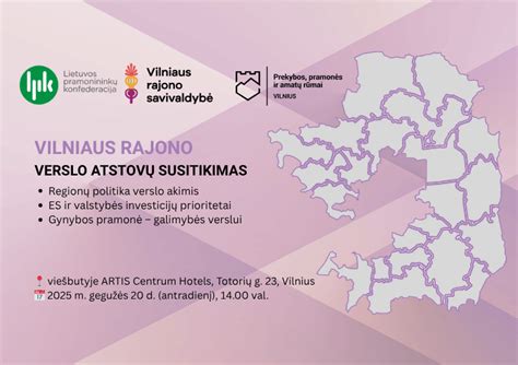 Informacinė grafika, vaizduojanti skirtingus verslo atstovų automobilių pasirinkimo kriterijus (kaina, ekonomiškumas, patogumas, reprezentacija)