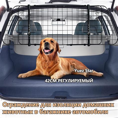 тематическое фото: защитный сетка для животных в автомобиле