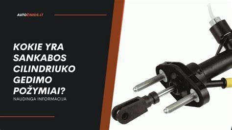 Infografika: Sankabos gedimo požymiai ir diagnostikos eiga