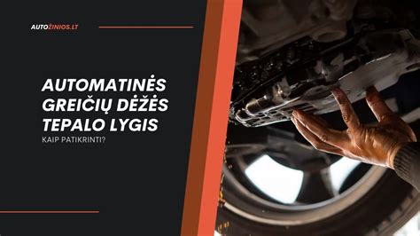 Infografinė schema: kaip veikia automatinių pavarų dėžių tepalų keitimas