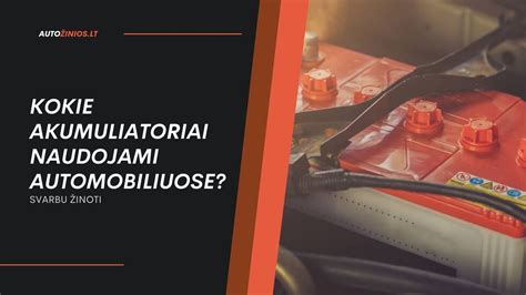 Infografika: akumuliatorių tipai ir gamintojai
