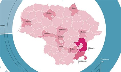 Infografika: autoservisų tinklo struktūra Lietuvoje