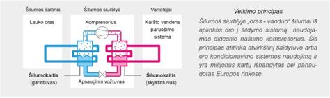 Infografika: CKP daviklio veikimo principas