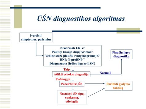 Infografika: Lūžių diagnostikos algoritmas