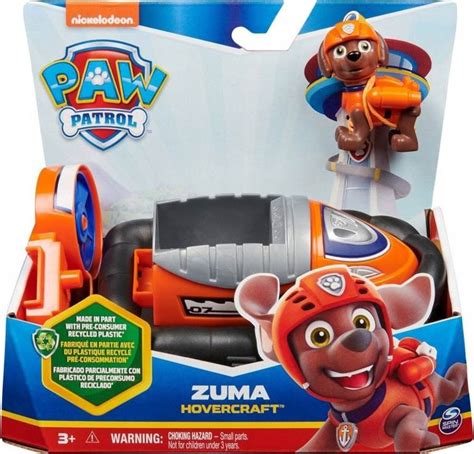 Infografika su skirtingais Paw Patrol šuniukais, jų profesijomis ir atitinkamomis transporto priemonėmis