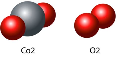 Benzeno molekulės modelis su anglies (juoda) ir vandenilio (balta) atomais