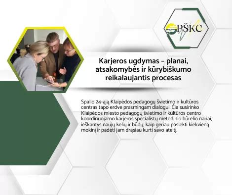 Infografika: Drausminės atsakomybės procesas