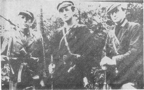 Žemaičių apygardos partizanai