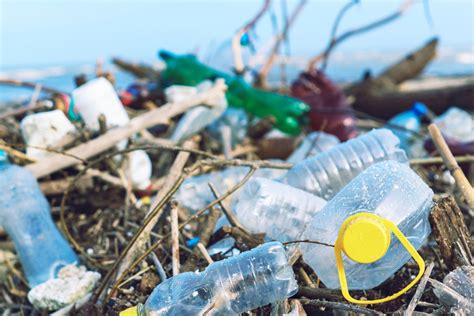 iliustracija, vaizduojanti makroplastiką, mikroplastiką ir nanoplastiką