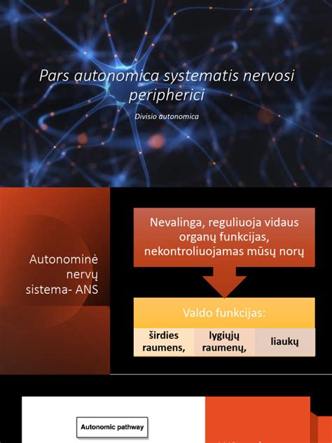 Vaizdas: diagrama, iliustruojanti JAV transporto sistemos dalis ir vairuotojų svarbą.