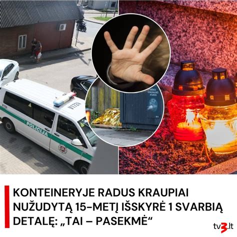 Įvairios sparnuotosios rodyklės versijos, naudojamos Škoda automobiliuose