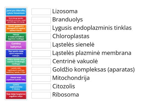 Skiedikliai ir rišamosios medžiagos aliuminio pudrai